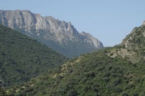 SENDERO EL PINSAPAR Y ASCENSO AL TORREON