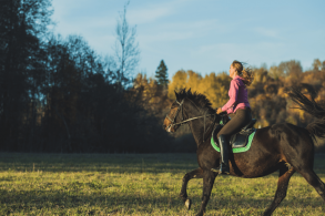 PASEOS A CABALLO