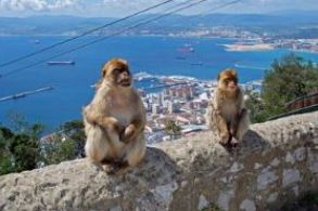 TOURS A GIBRALTAR